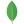 MongoDB Technology Stack Logo